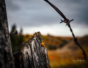 Post in Fall Hi Res   A3